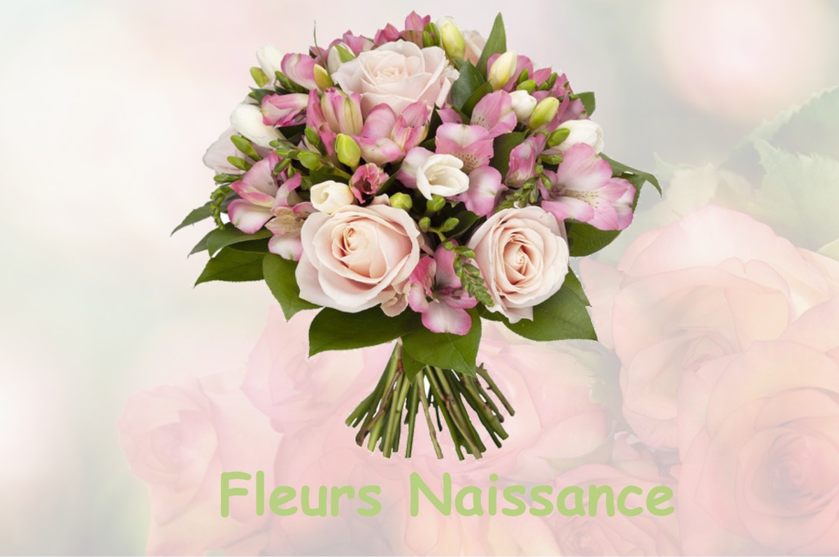 fleurs naissance LA-SEGUINIERE